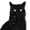 obsidiancat